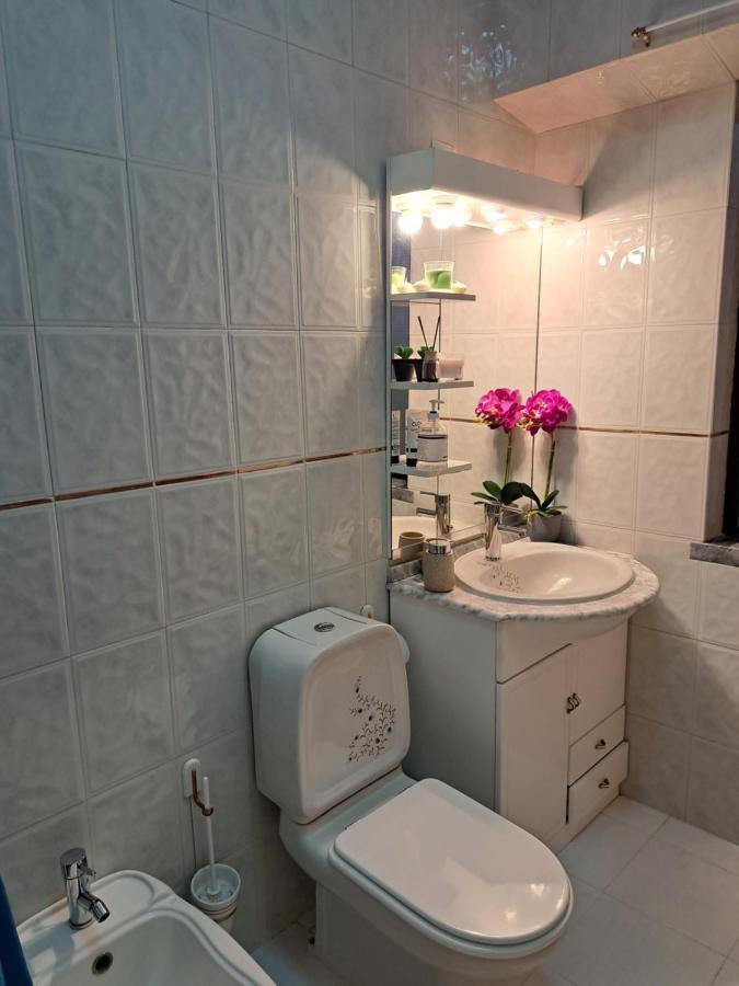 Beja Garden Apartamento Com Terraco Privado Exteriör bild